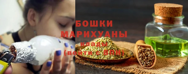 трава Абаза
