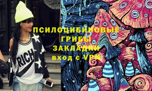 бошки Алексин