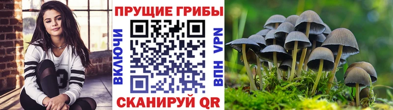 Галлюциногенные грибы прущие грибы  Новочебоксарск 