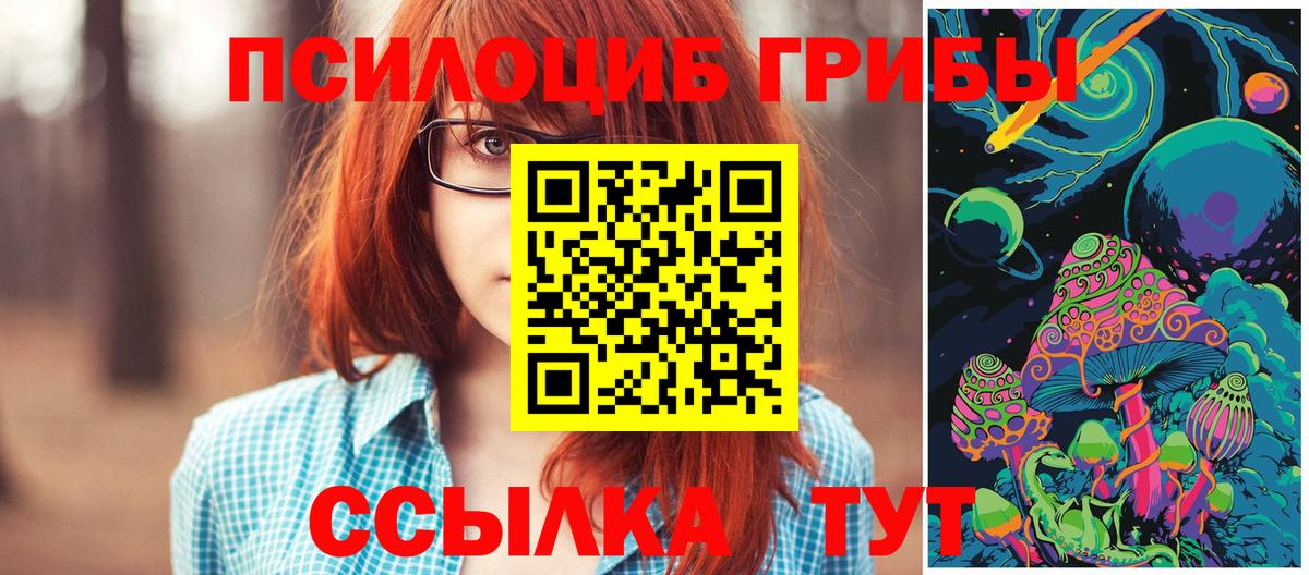 Новочебоксарск  Псилоцибиновые грибы Magic Shrooms  продажа наркотиков  Вход с VPN 